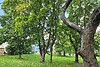 Müüa korter, 1 tuba - thumbnail