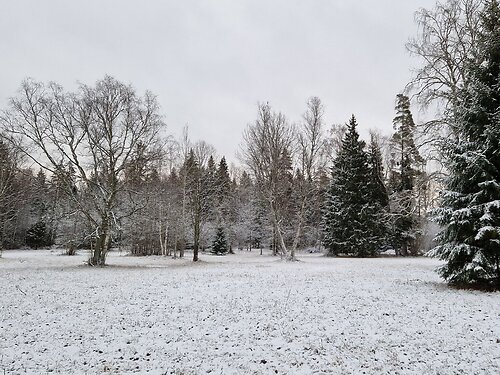 Saaremaa vald Saareküla, 2.13 ha