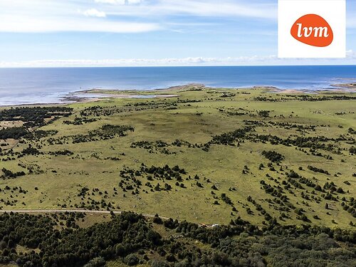 Saaremaa vald Karala, 1.98 ha