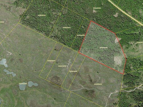 Saaremaa vald Torgu-Mõisaküla, 8.99 ha