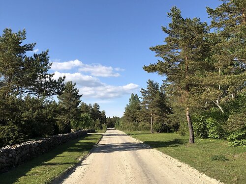 Saaremaa vald Upa 3, 4221 m²