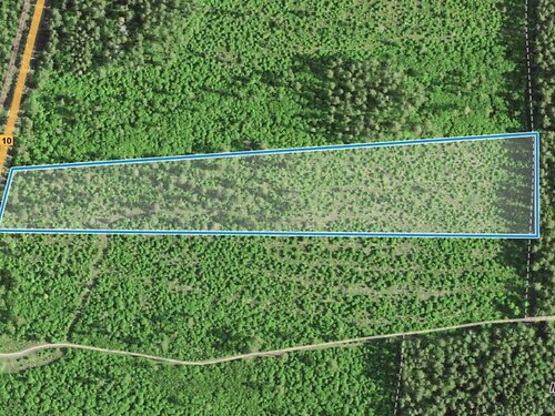 Muhu vald Linnuse, 2.99 ha