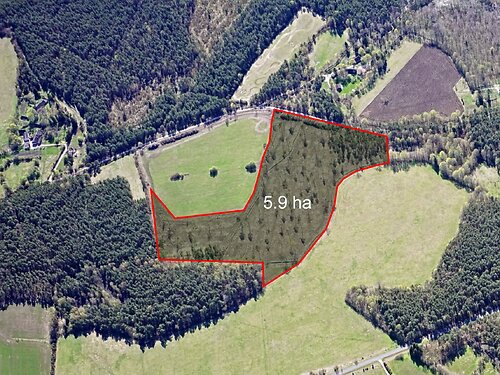 Saaremaa vald Iilaste, 5.9 ha
