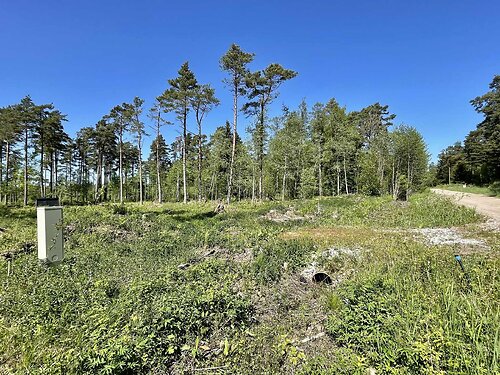 Saaremaa vald Salme, 9055 m²
