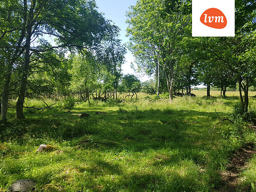 Saaremaa vald Vedruka, 1.76 ha