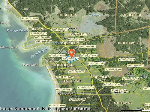 Saaremaa vald Neeme, 8215 m²