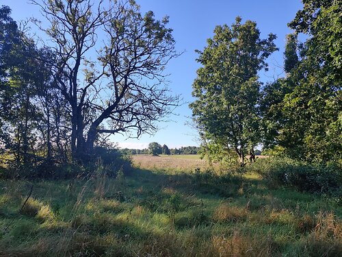 Saaremaa vald Hakjala, 1814 m²