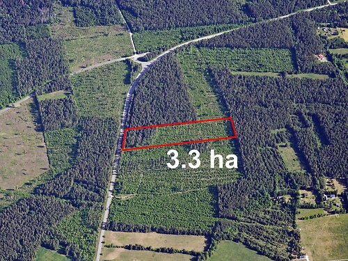Muhu vald Linnuse, 3.3 ha