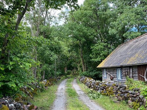 Muhu vald Rässa, 1.22 ha