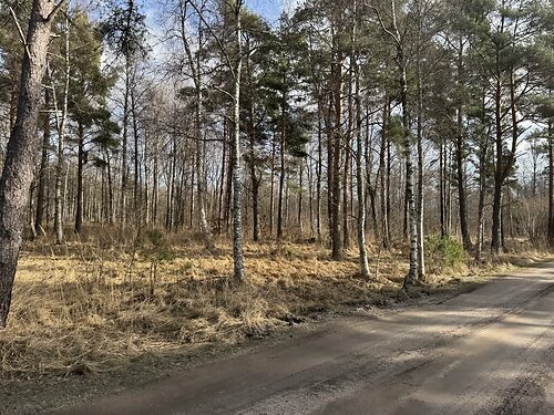 Saaremaa vald Mändjala, 7616 m²