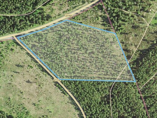 Saaremaa vald Kihelkonna-Liiva, 3.82 ha