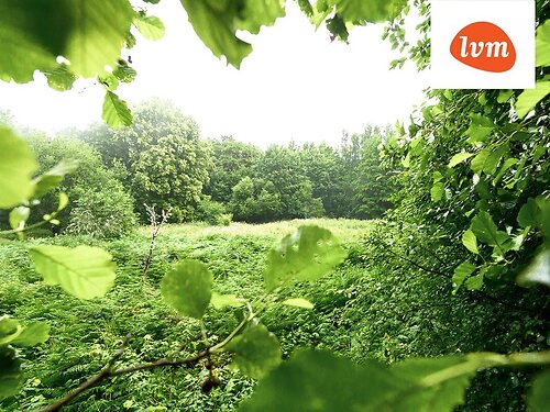 Saaremaa vald Mässa, 6.6 ha