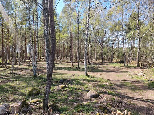 Muhu vald Viira, 1.38 ha