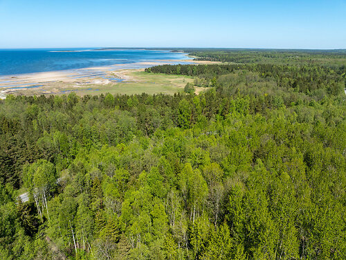 Saaremaa vald Küdema, 2.48 ha