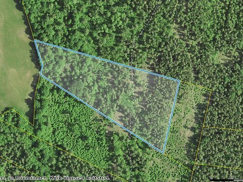 Muhu vald Suuremõisa, 3.34 ha