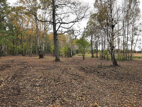 Saaremaa vald Saareküla, 2.13 ha