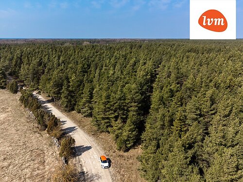 Saaremaa vald Austla, 9897 m²