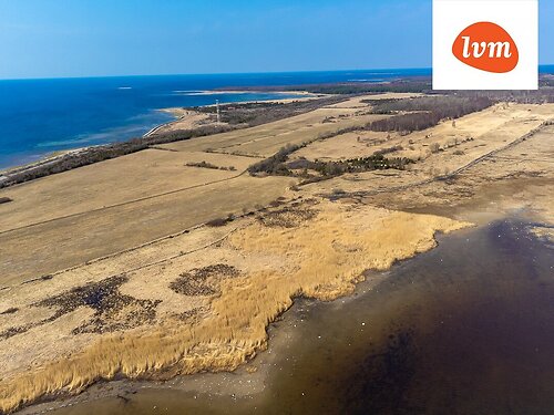 Saaremaa vald Austla, 3.05 ha