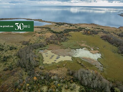 Saaremaa vald Kungla, 6.89 ha