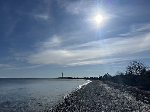 Saaremaa vald Sääre, 1.6 ha
