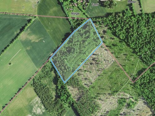 Saaremaa vald Valjala-Nurme, 4.92 ha