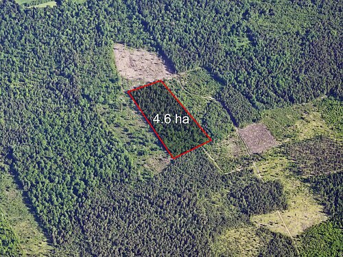 Saaremaa vald Reeküla, 4.63 ha