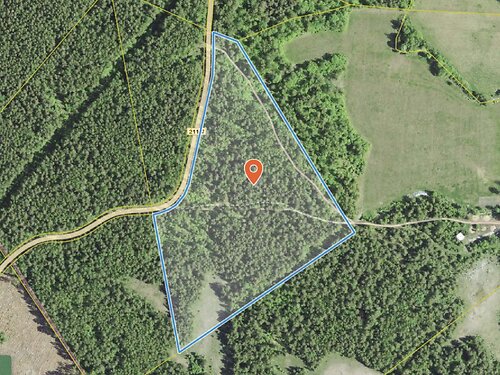 Saaremaa vald Valjala-Nurme, 5.55 ha