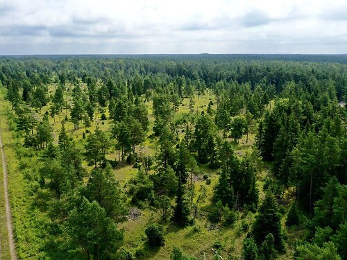 Saaremaa vald Kihelkonna-Liiva 13, 3776 m²