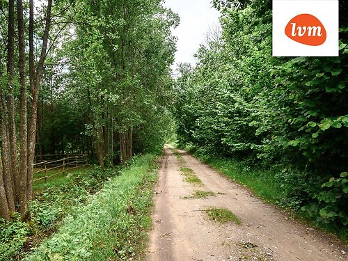 Saaremaa vald Mändjala, 4991 m²