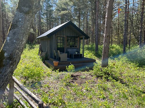 Saaremaa vald Ninase, 2.6 ha