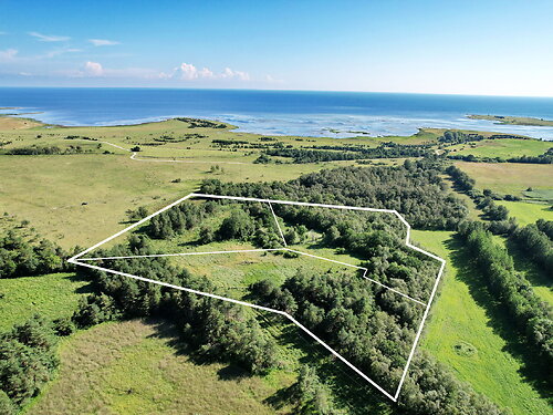 Saaremaa vald Karala, 3.02 ha