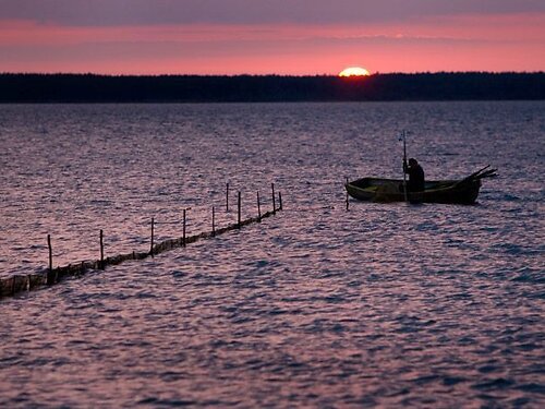 Muhu vald Koguva, 1.22 ha