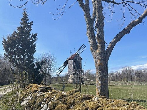 Saaremaa vald Orissaare, 2.69 ha