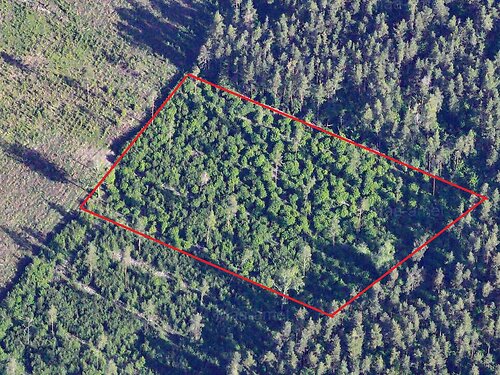 Muhu vald Nautse, 1.16 ha