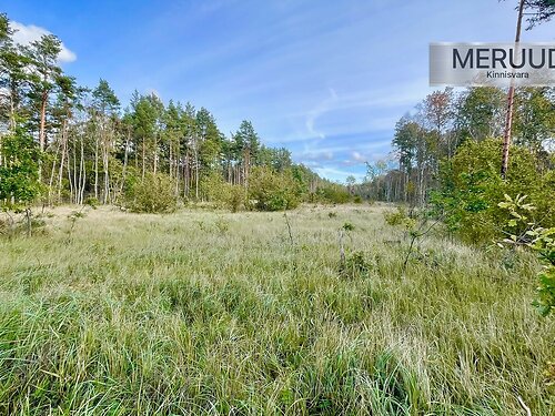 Saaremaa vald Mändjala, 1.8 ha