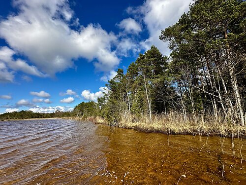 Saaremaa vald Järise, 16 ha
