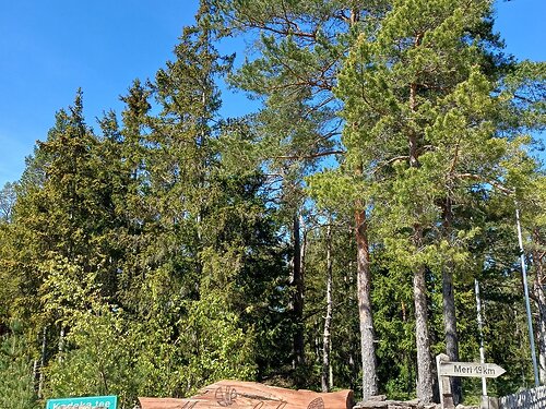 Saaremaa vald Neeme 20, 6101 m²