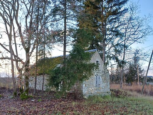 Saaremaa vald Leisi küla, 1 tuba, 1 korrust, 40 m²