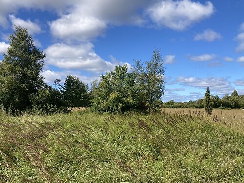 Saaremaa vald Virita, 1.49 ha