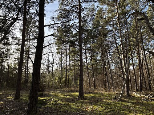 Saaremaa vald Muratsi 12, 4791 m²