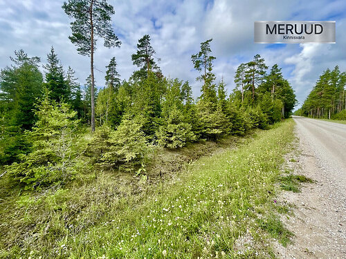 Saaremaa vald Koki, 1.42 ha