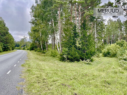 Saaremaa vald Hänga, 2.59 ha