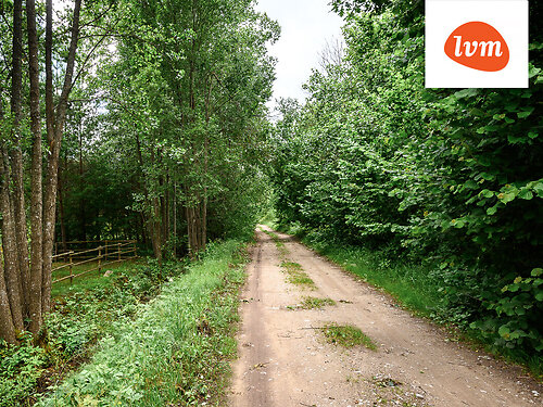 Saaremaa vald Mändjala, 4991 m²