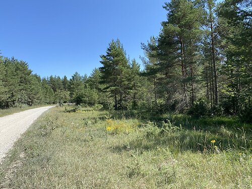 Saaremaa vald Unguma, 2 ha