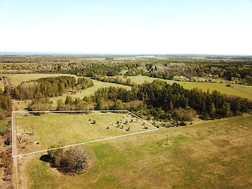 Muhu vald Tupenurme, 1.1 ha