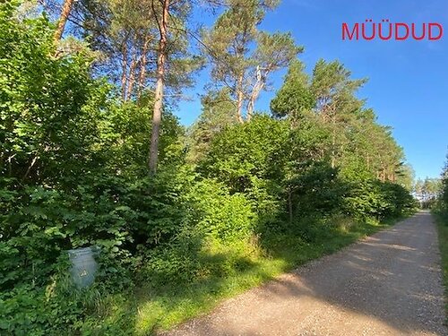 Saaremaa vald Muratsi, 4002 m²