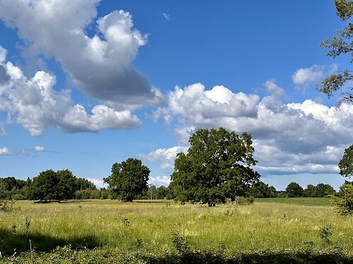 Saaremaa vald Kärla, 1.69 ha