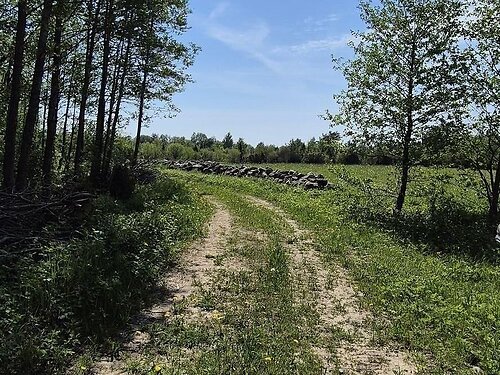 Saaremaa vald Lümanda-Kulli, 2.28 ha