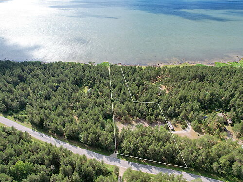 Saaremaa vald Jõiste, 7450 m²