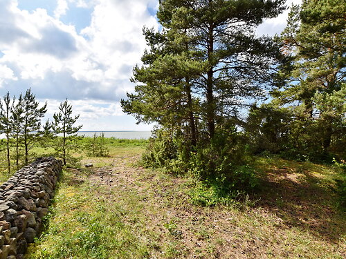 Saaremaa vald Jõiste, 7450 m²